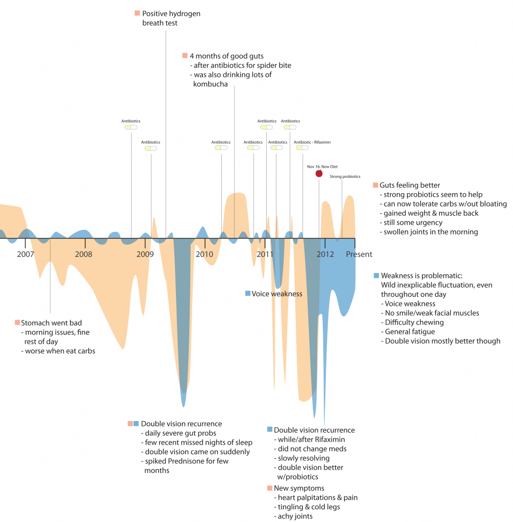 Visualize This: An e-Patient's Medical Life History - SPM Blog