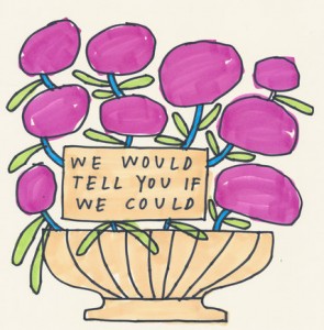 Illustration on Times site: "We would tell you if we could"