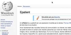 Screen capture of French Wikipedia entry