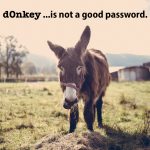 Donkey Password